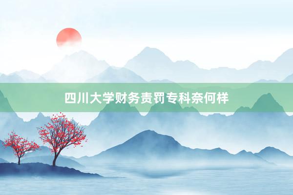 四川大学财务责罚专科奈何样